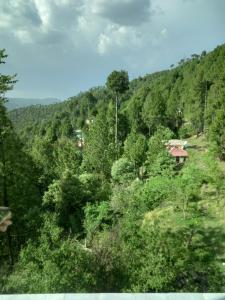 a view of a forest with a house on a hill at Galaxy apartments in Lower Topa