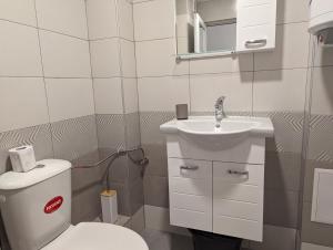 Teo's place في روس: حمام به مرحاض أبيض ومغسلة