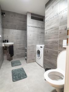 a bathroom with a washing machine and a toilet at Resort U sýrárny in Sobotín