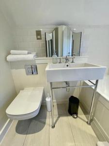 een badkamer met een wastafel, een toilet en een spiegel bij Northbrook Cottage, Farnham, up to 8 adults in Farnham