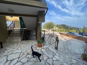Domáce zviera alebo zvieratá hostí v ubytovaní La Casa D' Irene