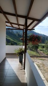 um alpendre com uma planta num vaso numa parede em Lemon ecopark em San Rafael