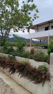 um jardim com plantas em frente a uma casa em Lemon ecopark em San Rafael