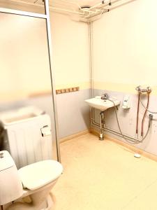 ein Bad mit einer Dusche, einem WC und einem Waschbecken in der Unterkunft Villa Win in Lappeenranta