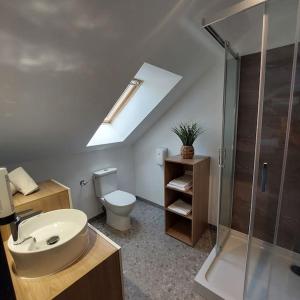 y baño con aseo, lavabo y ducha. en Gite le 19 - Maison 130m2 - Les Rosiers sur Loire - Chambres climatisées, en Les Rosiers