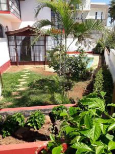a garden in front of a house with a palm tree at Lindo estúdio perto do Hospital BOS Sorocaba (3) in Sorocaba