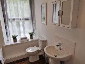 a bathroom with a toilet and a sink and a window at Estuary View, Bank House, Stunning apartment. in Millom