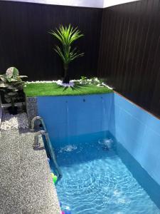 a plunge pool with a palm tree in a backyard at Abe.Cottage 3 in Kampong Chawat