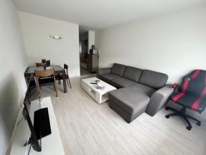 un soggiorno con divano e tavolo di Beautiful 2.5 Room Apartment in Lucerne (Luzern)36 a Lucerna