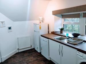 een keuken met een witte koelkast en een wastafel bij The Rafters, Bank House, Stunning Apartment. in Millom