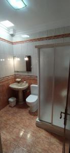 a bathroom with a toilet and a sink and a shower at Casa Los Guanches in La Guancha