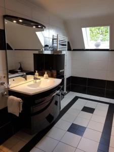 ein Badezimmer mit einem Waschbecken und einem großen Spiegel in der Unterkunft B&B Flamand in Heijenrath