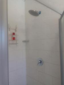 y baño con ducha con cabezal de ducha. en Birdville BNB Guest House, en Gaborone