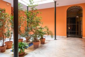 an orange building with potted plants in a courtyard at AlohaMundi Campana II in Seville