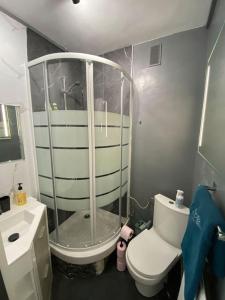La salle de bains est pourvue d'une douche et de toilettes. dans l'établissement Appartement tout confort, à Limoges