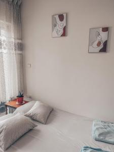 a white bedroom with a bed and a window at ONE OF THE CHEAPEST IN THE CITY Eucalyptus in Komotini