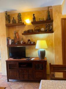La Casa sulla collina "Baccu e Idda"的电视和/或娱乐中心