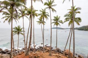 a group of palm trees on a rocky beach at Rhome Home in Weligama