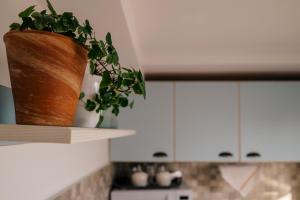 Kuchyň nebo kuchyňský kout v ubytování Spacious studio near lake + 31 fotografií