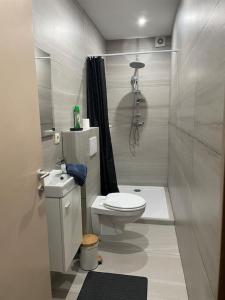 La petite salle de bains est pourvue d'une douche et de toilettes. dans l'établissement Studio proche de l’aéroport/gare/centre ville, à Charleroi