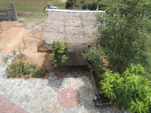 A garden outside Bunyong Homestay