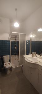 ヴェルネ・レ・バンにあるLe Refugeのバスルーム(トイレ、洗面台、シャワー付)