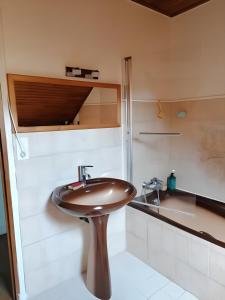 ein Bad mit einem braunen Waschbecken in einem Zimmer in der Unterkunft Pour une halte aux portes de Bourgoin 