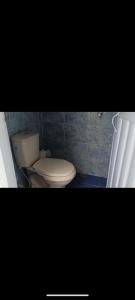 サンタ・マルタにあるCharming Village, Tiny Houseのバスルーム(トイレ、白いラジエーター付)