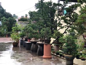 Zahrada ubytování Bonsai Homestay Kluang - B17