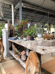 Fotografie z fotogalerie ubytování Bonsai Homestay Kluang - B17 v destinaci Keluang
