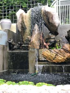 Fotografie z fotogalerie ubytování Bonsai Homestay Kluang - B17 v destinaci Keluang
