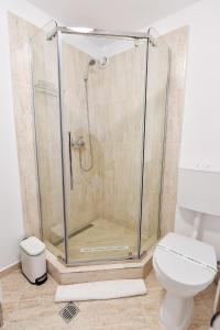 a shower stall in a bathroom with a toilet at FiveRooms in Braşov