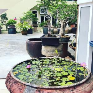 Zahrada ubytování Bonsai Homestay Kluang - B17