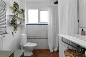 La salle de bains est pourvue de toilettes, d'un lavabo et d'une fenêtre. dans l'établissement Modern & Cozy Apartment - Downtown Reykjavik, à Reykjavik