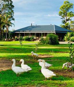 Gallery image of Bella Farm Country House Hunter Valley in Nulkaba