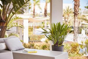 Zahrada ubytování Zafiro Palace Alcudia