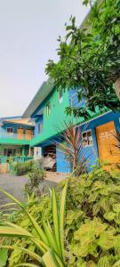 a blue and green building with a lot of plants at Auslyn Guest House in Bogmalo