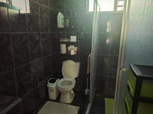 a small bathroom with a toilet and a shower at POSADA VERDE 