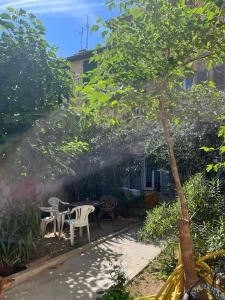馬賽的住宿－Studio atypique Camas，花园配有桌椅和一棵树