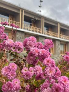 a bunch of pink flowers in front of a building at applegardenhunza in Alīābād