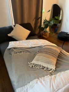 1 cama con almohada y espejo en una habitación en Charmant appartement proche Paris, en Saint-Ouen