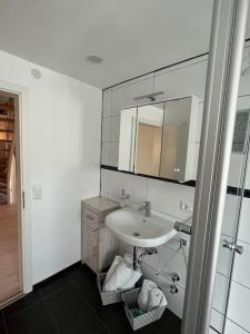 ein Bad mit einem Waschbecken und einem Spiegel in der Unterkunft Löwen Appartement in Hausach