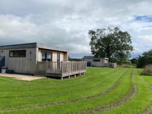 a small cabin in a grassy field with a tree at The Swift in Whitchurch