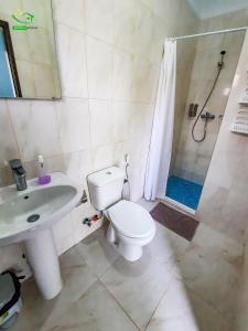 a bathroom with a toilet and a sink and a shower at Pousada Green Place in Ribeira Grande