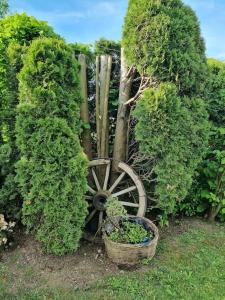 a garden with a wooden wagon wheel and plants at Ferienwohnung Seeblick in Pfullendorf