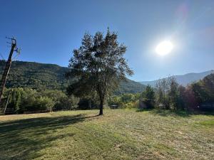 a tree in a field with mountains in the background at Casa Trianó entre montañas, río y cielo de estrellas in Albanya
