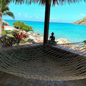 a person sitting on a hammock looking at the ocean at Lime in de Coconut Villa in Cruz Bay