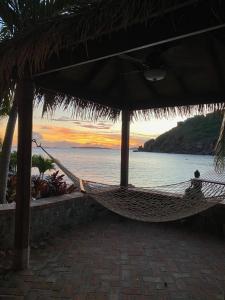 a hammock in a resort with a view of the ocean at Lime in de Coconut Villa in Cruz Bay