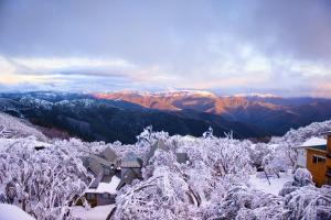 a winter view of a mountain with snow covered trees at Chalet Apartments - Mt Buller Apartment Rentals in Mount Buller