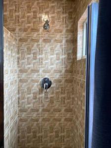 a shower with a shower head in a bathroom at Cozy Studio with free parking on premises. in Grand Anse